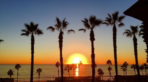 Silhouette of palm trees against a vibrant sunset over the ocean, with warm orange and blue hues in the sky.