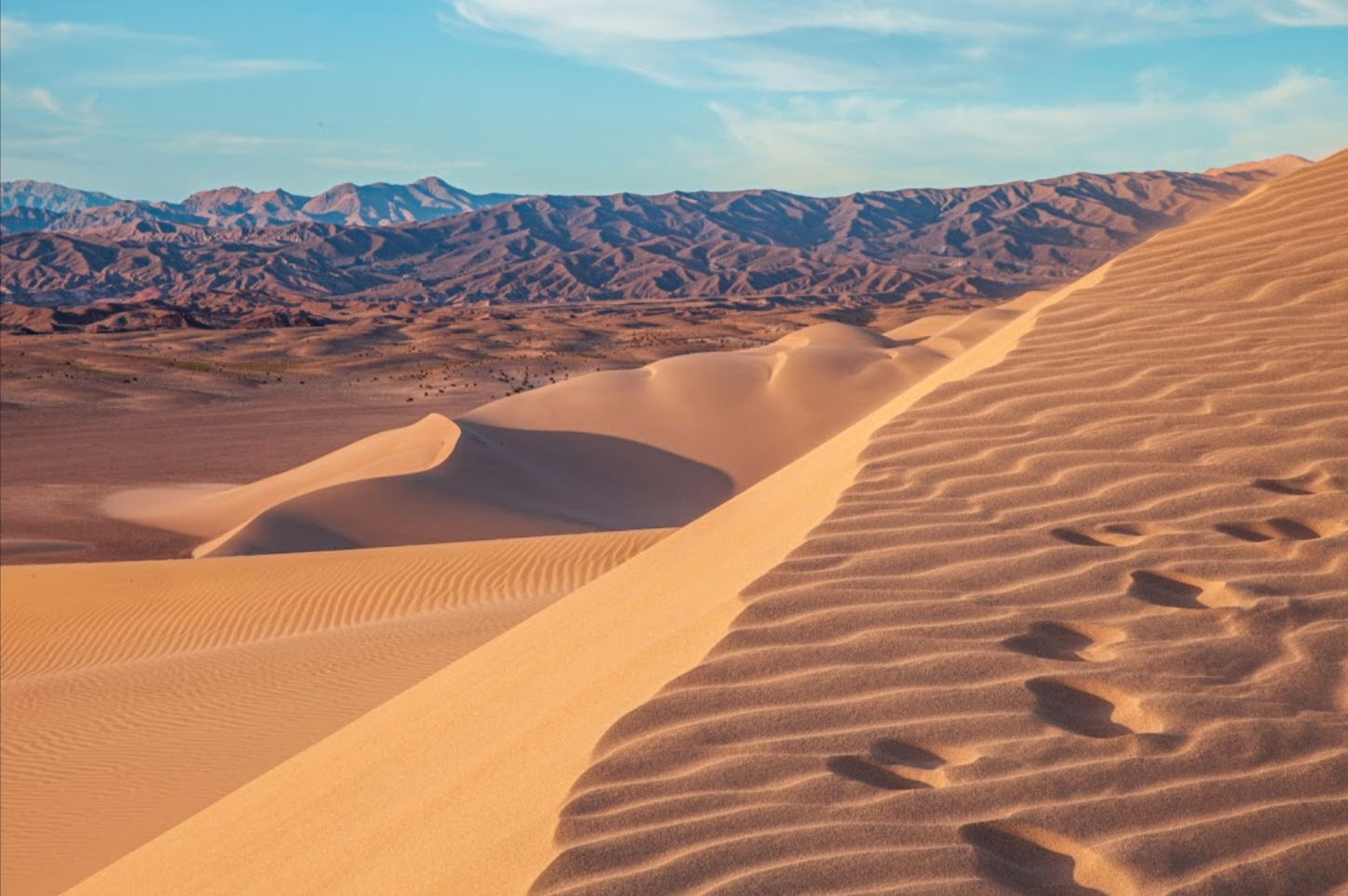 DUNES デューンズ ブラウス ブルー Dune Blue Music | Brooklyn NY