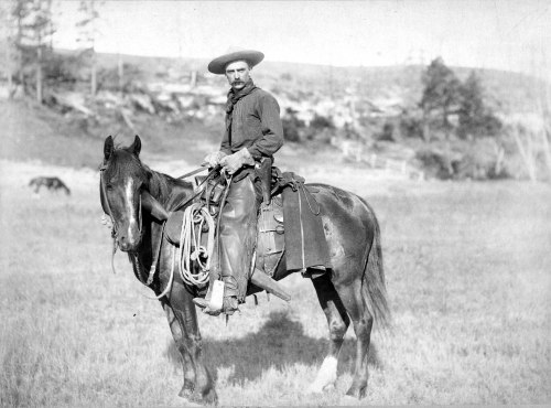 A cowboy on horseback in a grassy field, wearing a hat and holding a lasso, with trees and hills in the background.