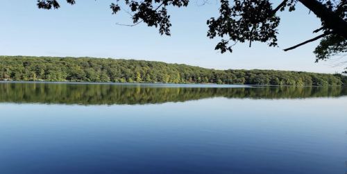 A calm lake reflecting lush green trees under a clear blue sky.