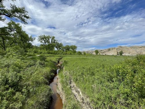 A serene landscape featuring a narrow stream winding through lush green grass and trees under a cloudy sky.