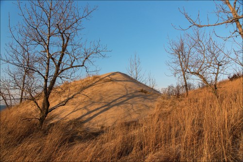 A sandy hill surrounded by dry grass and bare trees under a clear blue sky. Shadows stretch across the landscape.