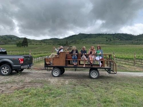 A group of people sitting on a trailer being pulled by a truck, surrounded by vineyards and cloudy skies.