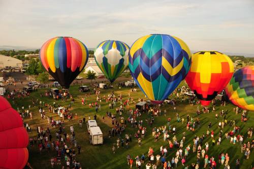 Aerial view of colorful hot air balloons above a crowd gathered on green grass at a festival.