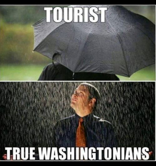 A split image: a tourist under an umbrella in the rain, and a local enjoying the rain without cover.
