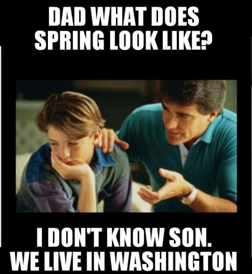 A father explains to his son that they live in Washington, humorously implying they don't experience spring.