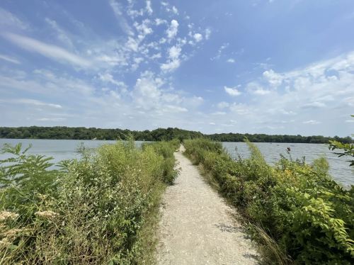 A gravel path lined with greenery leads to a lake under a blue sky with scattered clouds.
