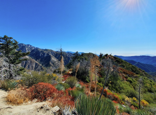 A scenic mountain landscape with vibrant foliage, clear blue skies, and distant peaks under bright sunlight.