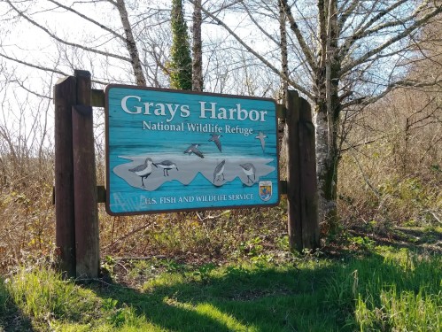 Sign for Grays Harbor National Wildlife Refuge, featuring birds and surrounded by greenery.