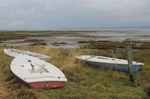 Two small boats on grassy shore, with a marshy landscape and overcast sky in the background.