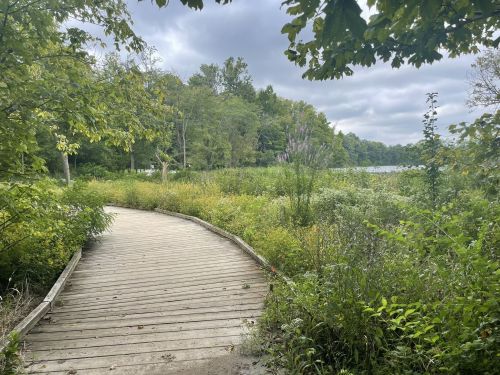 A winding wooden path through lush greenery, leading to a serene lake under a cloudy sky.