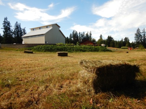 A grassy field with hay bales, a large barn, and trees under a blue sky with scattered clouds.