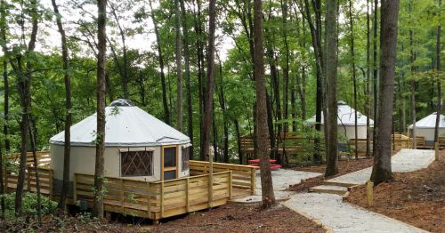 Two yurts with wooden decks nestled among trees in a forested area, connected by a gravel path.