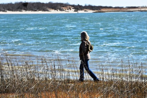 A person walks along a shoreline with tall grass, facing a blue body of water under a clear sky.
