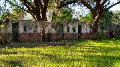 Abandoned building with crumbling walls, surrounded by overgrown grass and trees in a sunny outdoor setting.