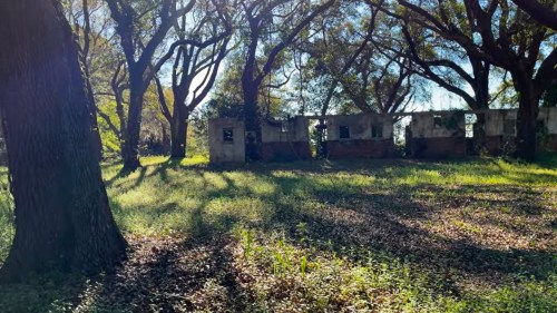 Sunlight filters through trees onto the ruins of a building, surrounded by overgrown grass and fallen leaves.
