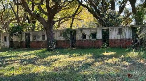Abandoned building with crumbling walls, surrounded by overgrown grass and large trees.