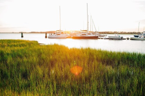 Sunset over a marina with sailboats, framed by lush green grass in the foreground.