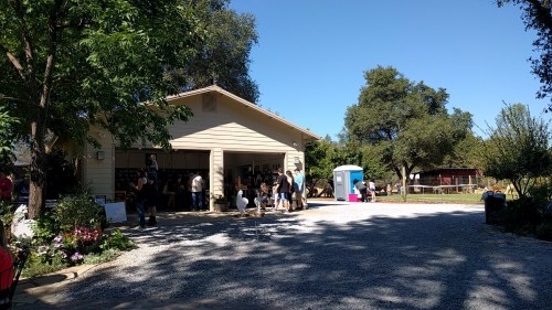 A sunny outdoor scene with a house, people gathered outside, and a portable restroom nearby, surrounded by trees.