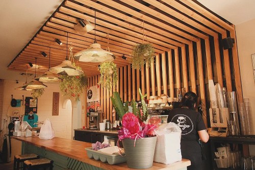 A cozy café interior with wooden beams, hanging plants, and a barista preparing drinks behind the counter.