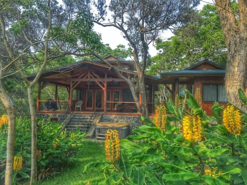 A wooden house surrounded by lush greenery and vibrant yellow flowers, nestled among trees.