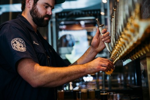 A bartender pours a beer from a tap at a brewery, focused on the task with a row of taps in the background.