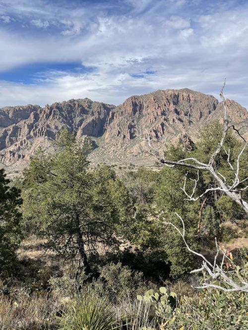 A scenic view of rugged mountains under a partly cloudy sky, surrounded by trees and desert vegetation.