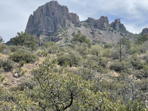 A rugged mountain peak rises above a landscape of shrubs and trees under a cloudy sky.