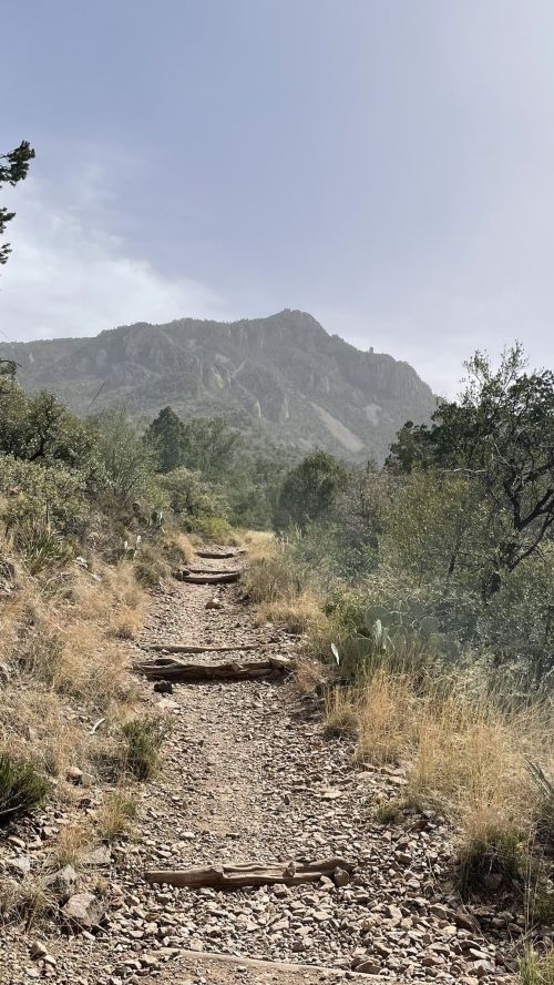 A rocky trail leads through greenery, with a mountain rising in the background under a cloudy sky.