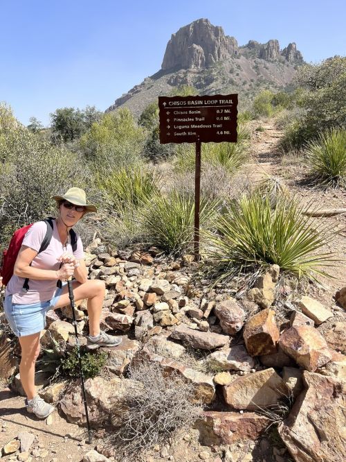 Hiker with a backpack and trekking pole stands by a trail sign in a rocky landscape with a mountain in the background.