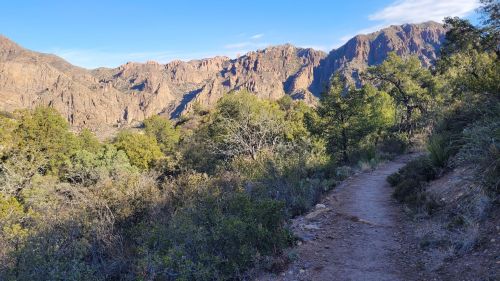 A winding dirt path through lush greenery, with rugged mountains rising in the background under a clear blue sky.