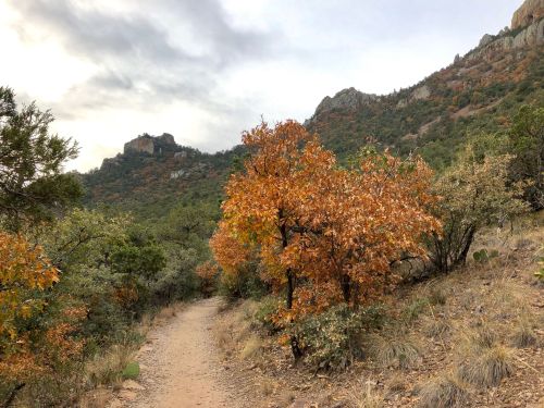 A winding dirt path through a landscape of autumn trees and rocky hills under a cloudy sky.