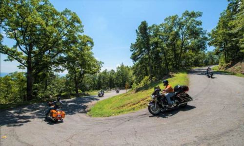 Motorcycles navigate a winding road surrounded by lush green trees on a sunny day.