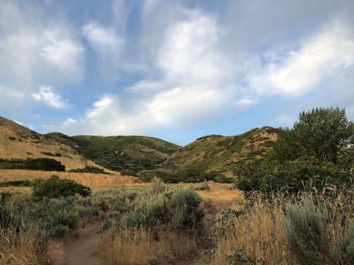 A scenic landscape featuring rolling hills, green vegetation, and a blue sky with scattered clouds.