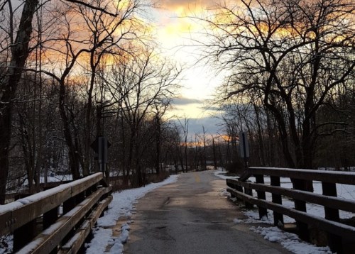 A snowy path leads through bare trees, with a colorful sunset illuminating the sky in the background.