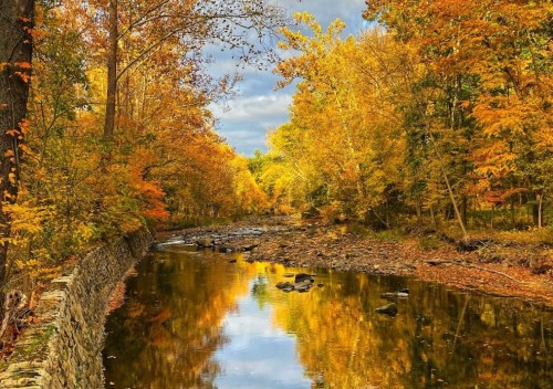 A serene river surrounded by vibrant autumn foliage, reflecting golden and orange leaves under a cloudy sky.