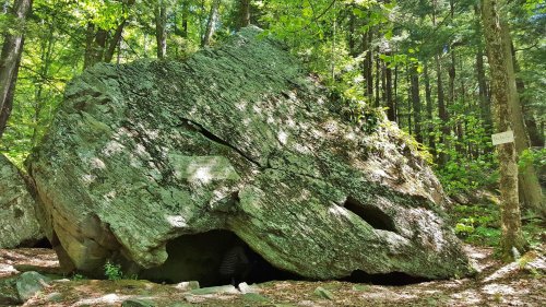 A large, moss-covered boulder in a lush green forest, with trees surrounding it and a small cave-like opening.