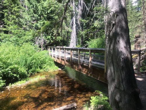 A wooden bridge spans a clear stream, surrounded by lush green trees and foliage in a serene forest setting.
