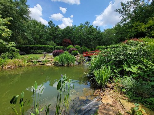 A serene garden scene featuring a pond, lush greenery, and a red bridge under a blue sky with fluffy clouds.