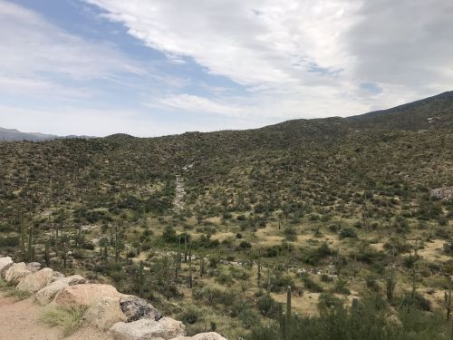 A desert landscape with scattered vegetation, rocky terrain, and a cloudy sky in the background.