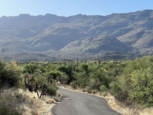 A winding road through lush greenery, with mountains rising in the background under a clear blue sky.