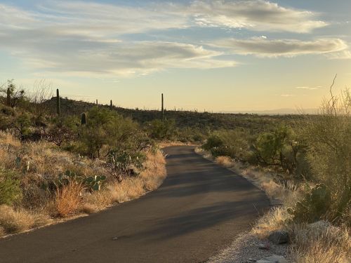 A winding road through a desert landscape with cacti and a sunset sky in the background.