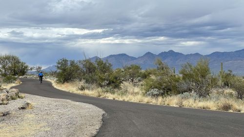 A cyclist rides along a winding road surrounded by desert vegetation and mountains under a cloudy sky.