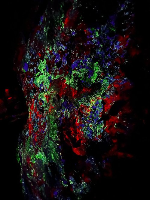 Abstract image featuring vibrant splashes of red, green, and blue against a dark background, resembling a cosmic scene.