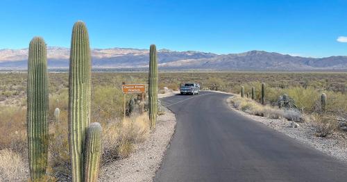 A winding road through a desert landscape with tall cacti and mountains in the background. A vehicle is driving along the road.