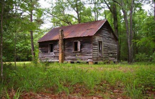 An old, weathered wooden cabin with a rusty roof, surrounded by lush green trees and tall grass.