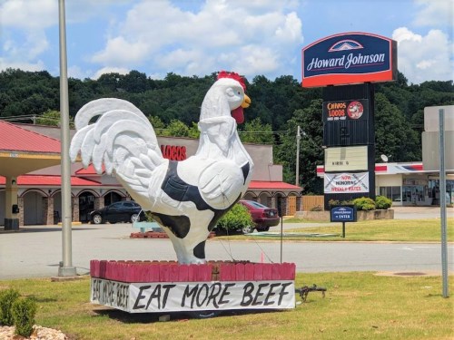 A large white chicken statue with a sign saying "Eat More Beef" in front of a Howard Johnson restaurant.