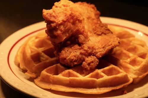 A plate of golden waffles topped with a crispy fried chicken piece.