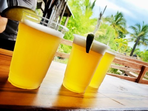 Three cups of yellow beer with lime wedges on a wooden table, surrounded by greenery.