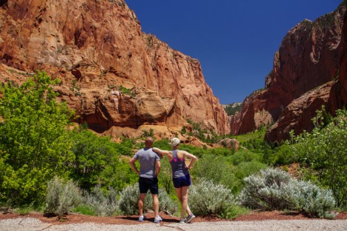 A couple stands together, gazing at a stunning red rock canyon surrounded by greenery under a clear blue sky.